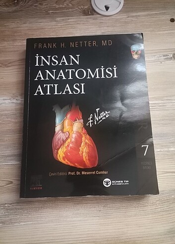 ANATOMİ ATLASI NETTER