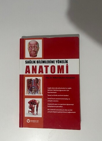 Beden Renk TOPLU FİYAT