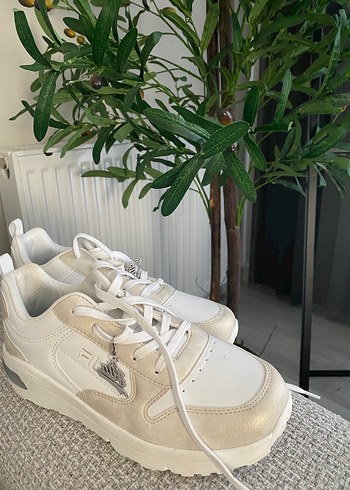 Fila  37