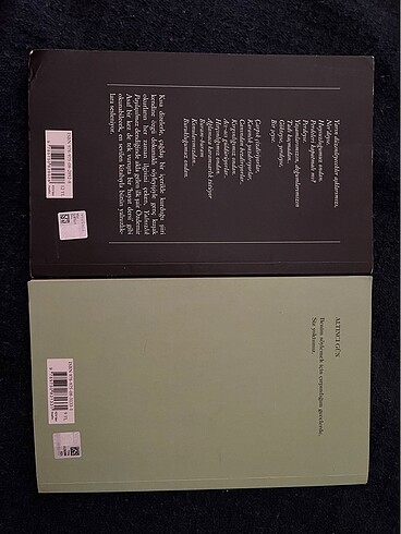 Özdemir Asaf Lavinia ve Yalnızlık Paylaşılmaz - Görsel 2