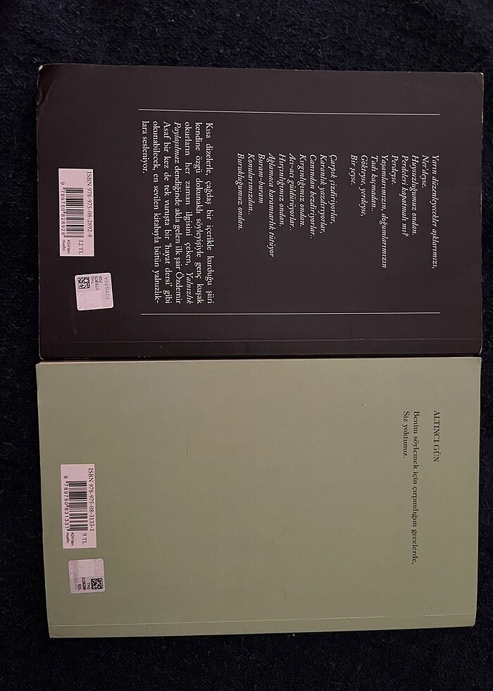 Özdemir Asaf Lavinia ve Yalnızlık Paylaşılmaz - Görsel 2