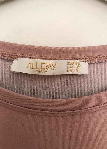 Diğer All day koyu pudra tunik 