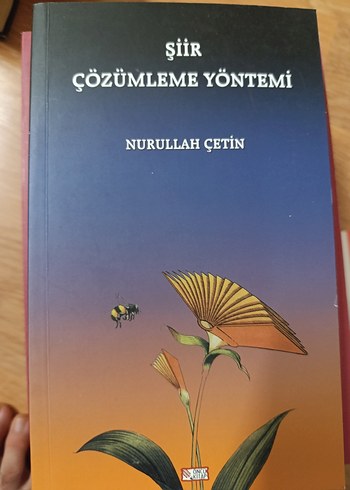 Beden beyaz Renk Yazım Kılavuzu - Türk Dili Kurumu
