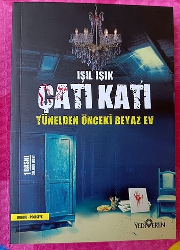 Çatı Katı