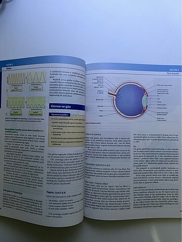 Ross ve Wilson Sağlıkta ve hastalıkta Anatomi ve Fizyoloji - Görsel 2