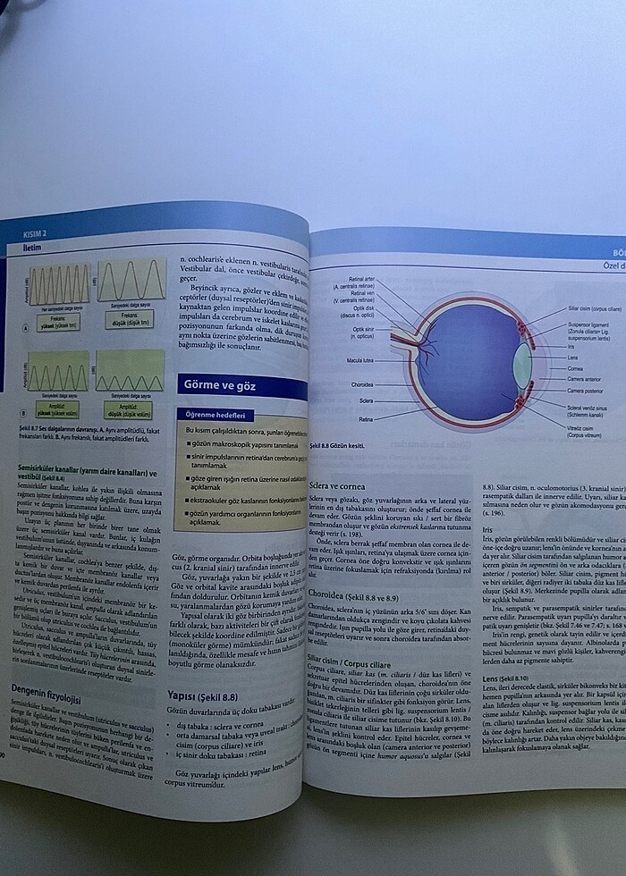 Ross ve Wilson Sağlıkta ve hastalıkta Anatomi ve Fizyoloji - Görsel 2