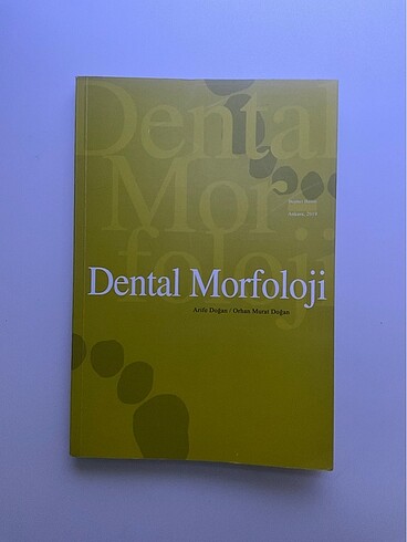 Dental Morfoloji
