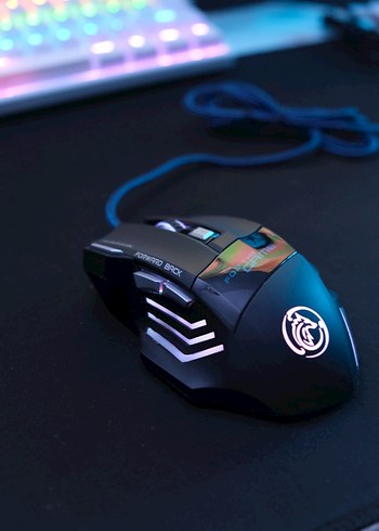 Gaming mouse