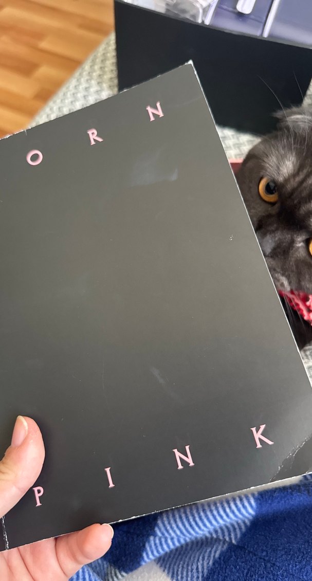 BLACKPINK Born Pink pembe vers - Görsel 5