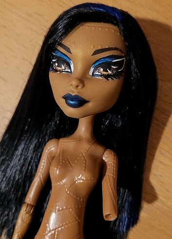 Repaint Robecca