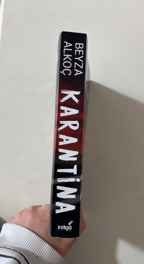 Karantina - Beyza Alkoç - Görsel 3