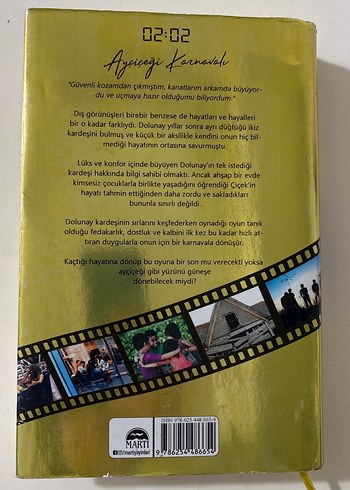 Ayçiçeği Karnavalı - N.G. Kabal - Görsel 3