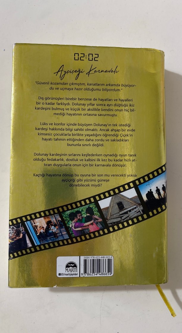 Ayçiçeği Karnavalı - N.G. Kabal - Görsel 3