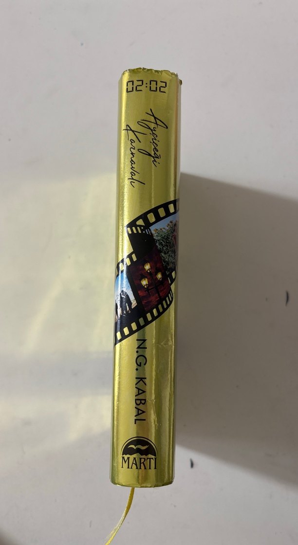 Ayçiçeği Karnavalı - N.G. Kabal - Görsel 2