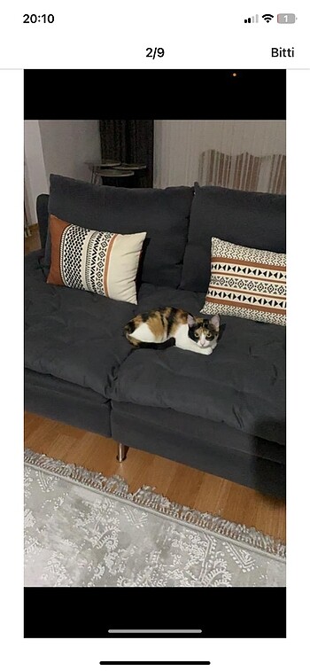 Diğer Koltuk minderi- örtüsü