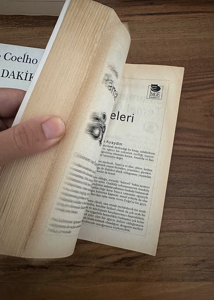 Can dündar nereye - Görsel 2