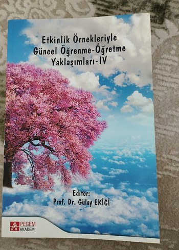 Akademik kitap(Sosyal Bilgiler Eğitimi) - Görsel 6
