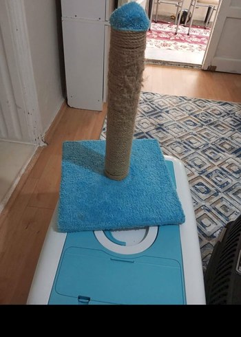 kedi tırmalama tahtası - Görsel 3