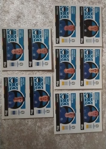 Estonya Euro 2024 Sticker lot - Görsel 2
