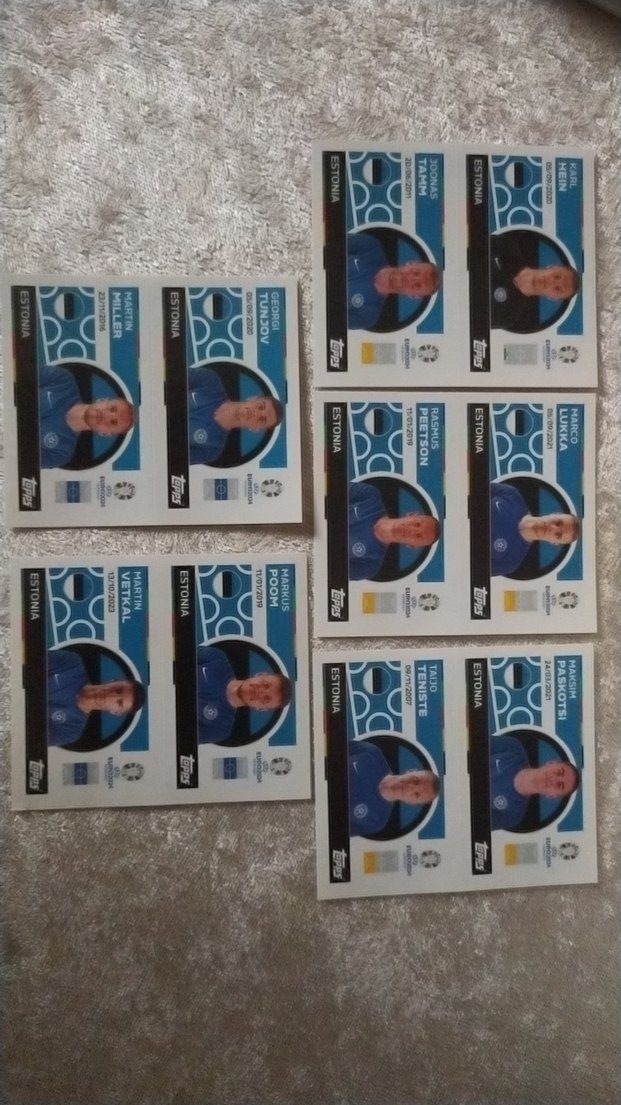 Estonya Euro 2024 Sticker lot - Görsel 2