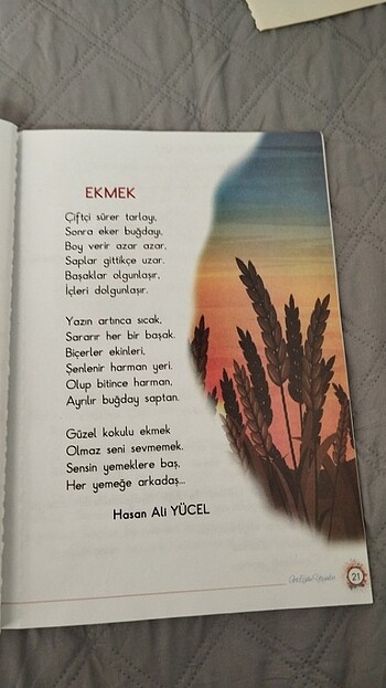  Beden Renk 1. sınıf kitap