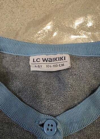 LC Waikiki Kelebek desenli hırka