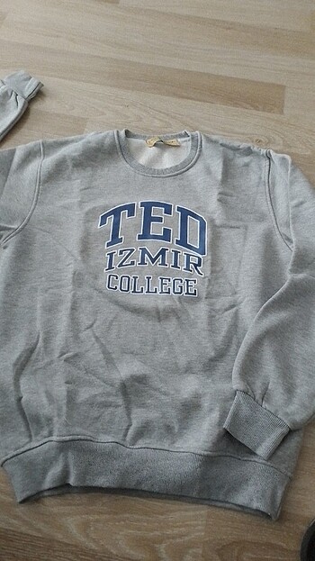 TED sweatshirt 