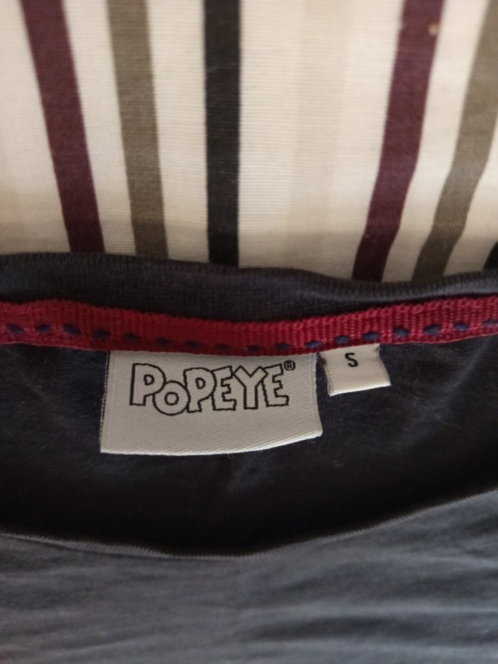 temel reis - Görsel 2