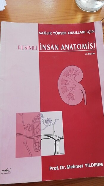 RESİMLİ İNSAN ANATOMİSİ