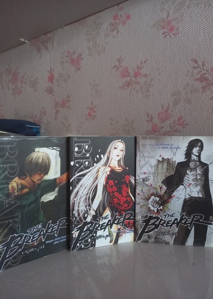 The Breaker - Manga/Çizgi roman - Görsel 3