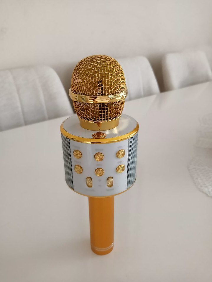 Altın Renkli Kablosuz Mikrofon - Görsel 3