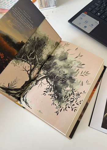 İş Kokan Zeytin Ağacı ciltli - Şule Avlamaz