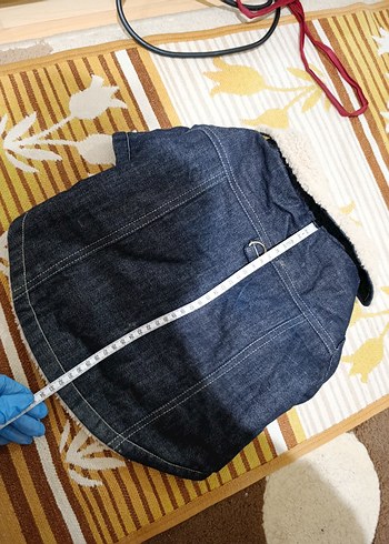 Köpek Kıyafeti - Görsel 5