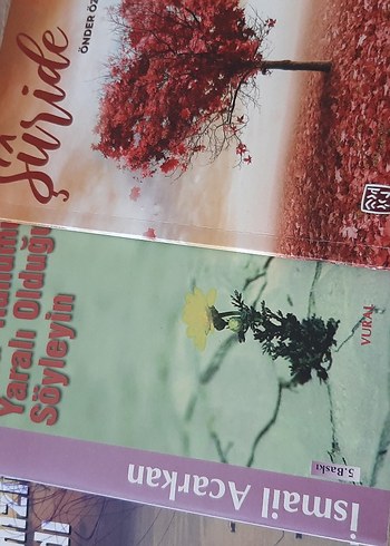 Şiir kitapları - Görsel 2