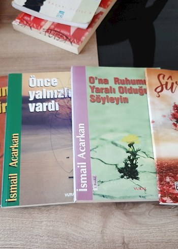 Şiir kitapları - Görsel 4