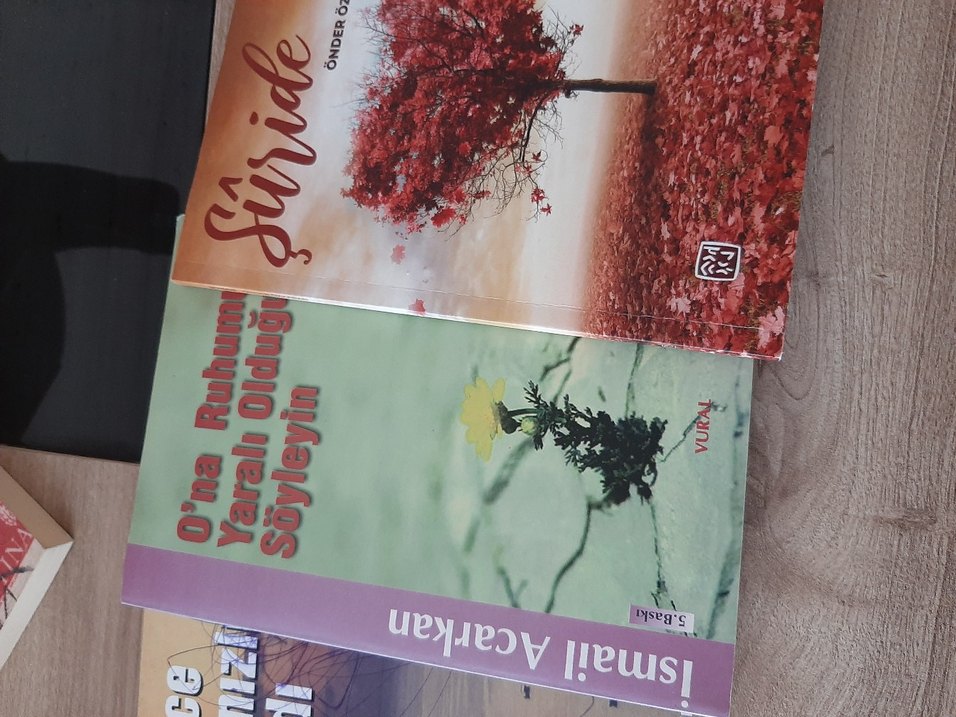 Şiir kitapları - Görsel 2
