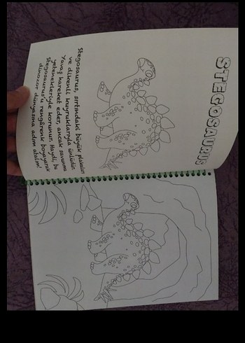 3+ Yaş Boyama ve Çıkartma Kitabım - Dinozor - Görsel 2