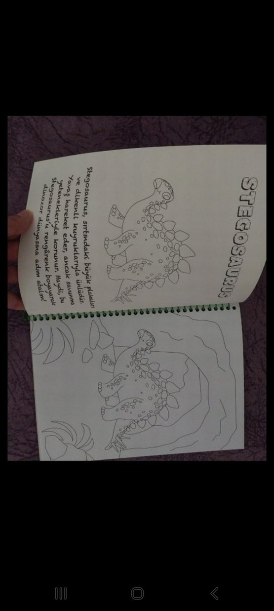 3+ Yaş Boyama ve Çıkartma Kitabım - Dinozor - Görsel 2