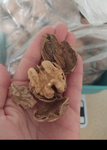 Kabuklu ceviz dogal urun kg 350 - Görsel 2