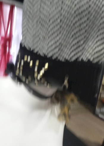 Patricia Pepe 25%Yún - Görsel 8