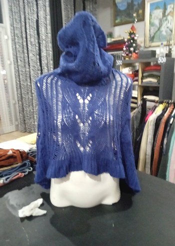 Adl saks mavisi - Görsel 2