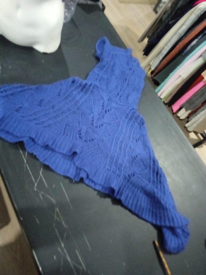 Adl saks mavisi - Görsel 5