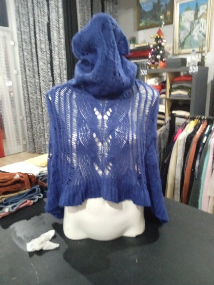 Adl saks mavisi - Görsel 2