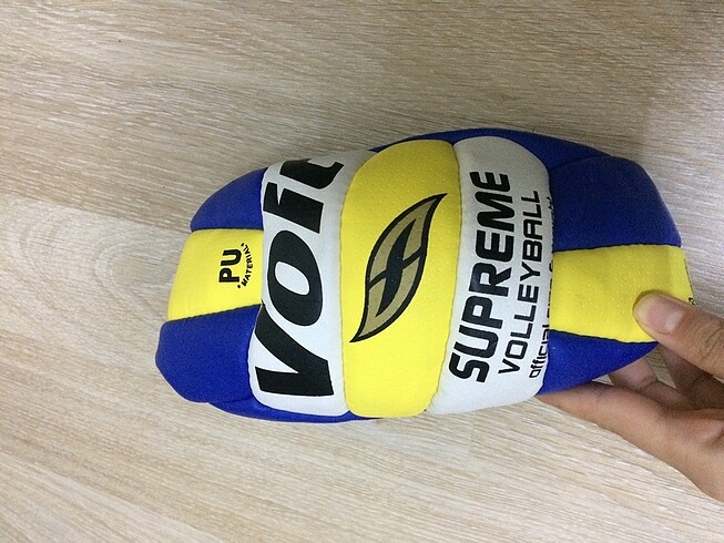 Voleybol topu