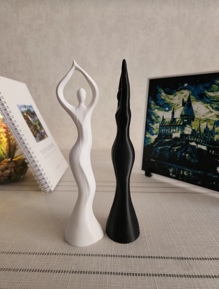 Siyah ve Beyaz Zarif Figür - Görsel 2