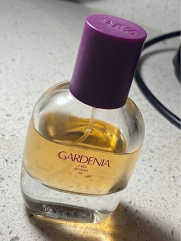 zara gardenia