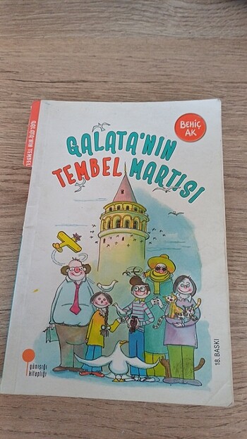 Behiçak Galata'nın tembel martısı