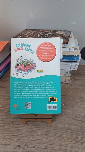 Beden Behiçak Galata'nın tembel martısı