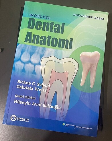 Dental anatomi Woelfel