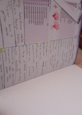 Çok Renkli Erkek Rozet - Görsel 3